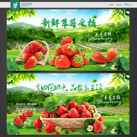 草莓海报