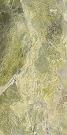 雨林绿瓷砖贴图底纹素材