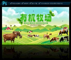 奶牛牧场
