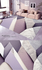 现代简约北欧轻奢极简地毯地垫