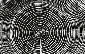 黑色年轮地毯图案