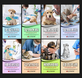 宠物医院海报