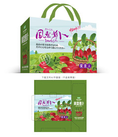 凤梨萝卜包装