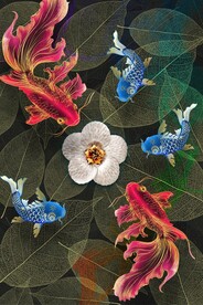 中式五福锦鲤图