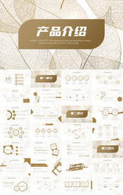 简约大气公司产品介绍宣传PPT