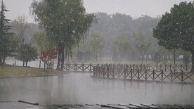 下雪雪景升格实拍湖面公园