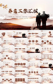 关爱老年人养老工作汇报PPT