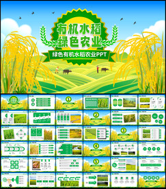 绿色有机水稻农业PPT