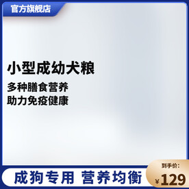 蓝色主图简约主图宠物用品主图