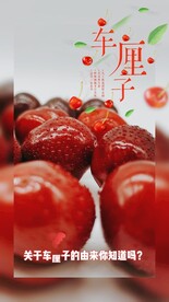 车厘子视频实拍