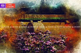 秋季成捆的干草垛