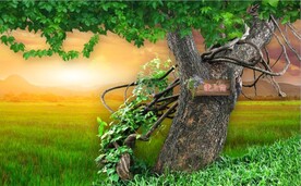 大树自然风光背景墙壁画