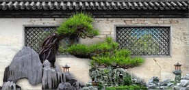 中式古松假山园林背景墙壁画