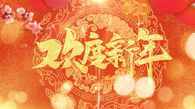喜庆欢度新年片头pr模板