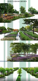 园林后期绿化