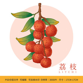 手绘荔枝水果包装插画