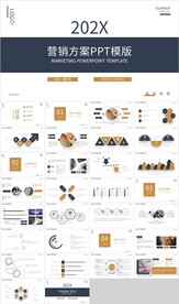 深蓝金色营销策划方案PPT