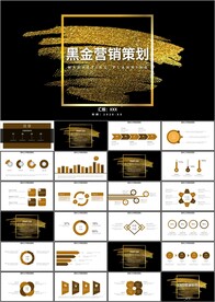 黑金营销策划创业融资PPT