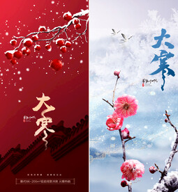 梅花节气大寒小寒