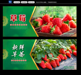 草莓采摘