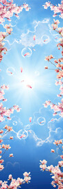 蓝天白云樱花 
