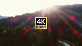 清晨日光森林美景