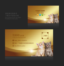 宠物名片