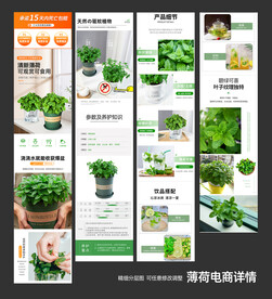 薄荷详情页