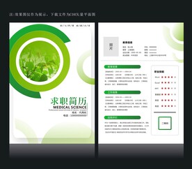 绿色简历设计