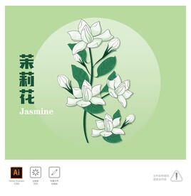 茉莉花插画