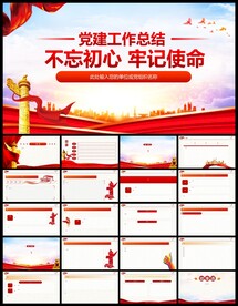 党建总结光辉党史党课党政PPT