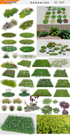 园林绿化植物模型