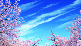 蓝天白云樱花