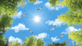 仰视蓝天白云竹叶