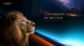 狮子 动物 王者