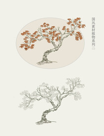 国画风植物