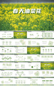 春天油菜花旅游季PPT模板