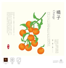 橘子 插画
