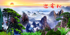 黄山迎客松