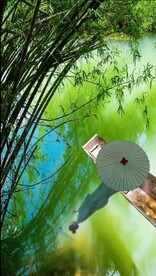 竹林小河美女视频