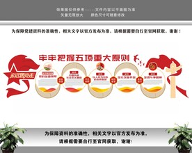 五项重大原则会议精神