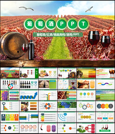 高档红酒葡萄酒PPT