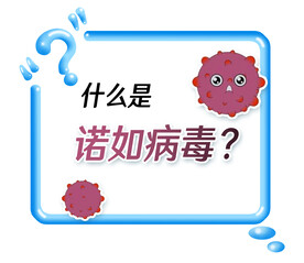 什么是诺如病毒提问框