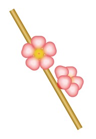 桃花梅花海棠花