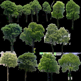 效果图植物素材