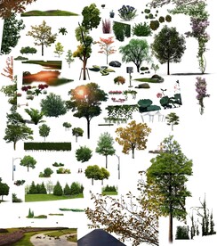 效果图配景植物