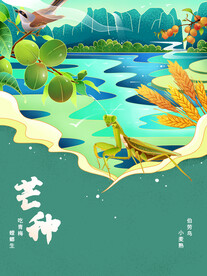 二十四节气插画  芒种