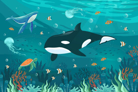 卡通黑鲸梦幻海底热带鱼珊瑚背景