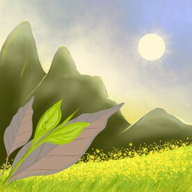 风景画画油菜花