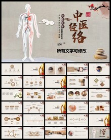 中医穴位经络PPT